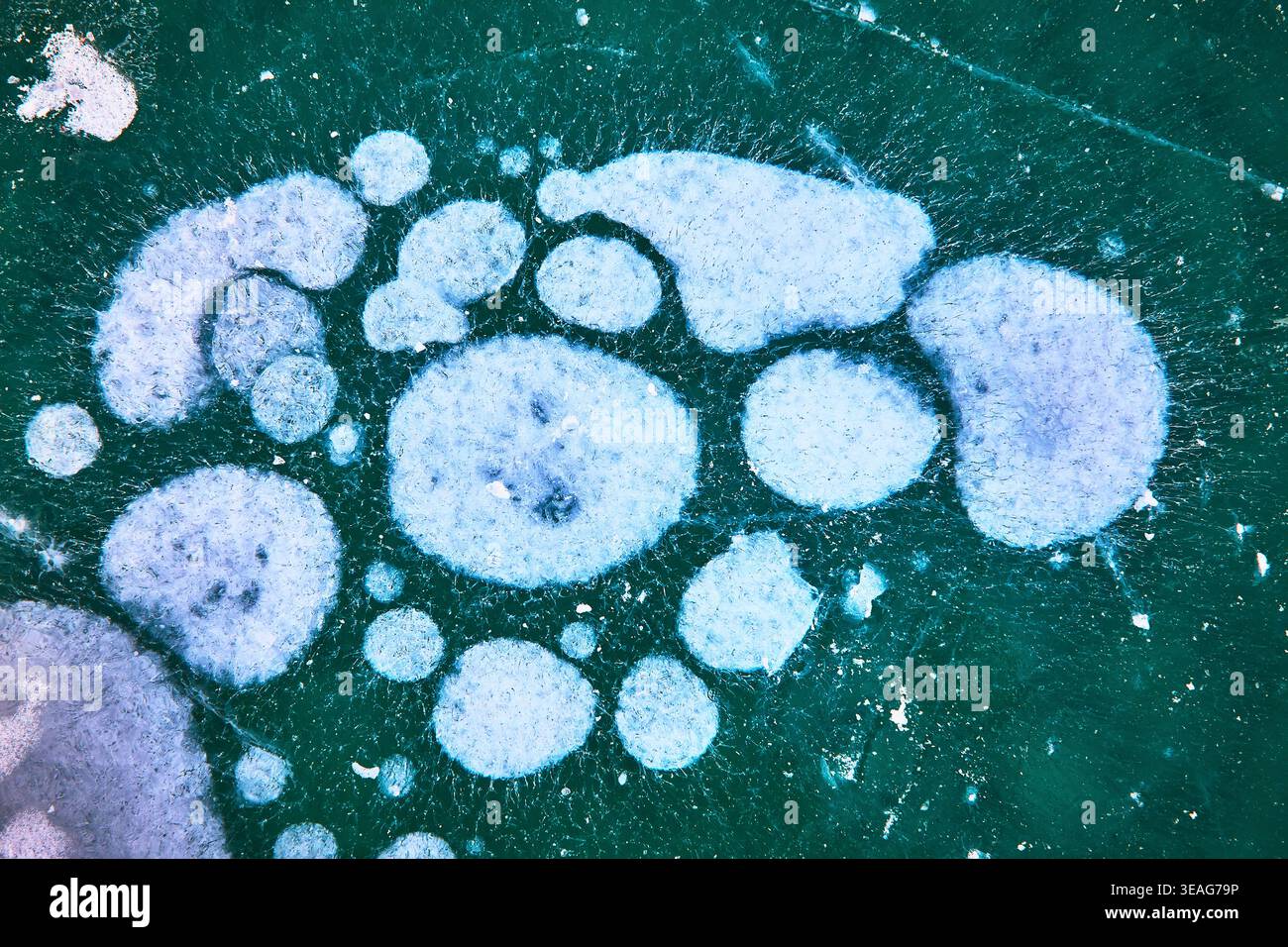 Frozen Methane Ice Bubbles Texture on Winter Lake Surface Close Up Stock Photo