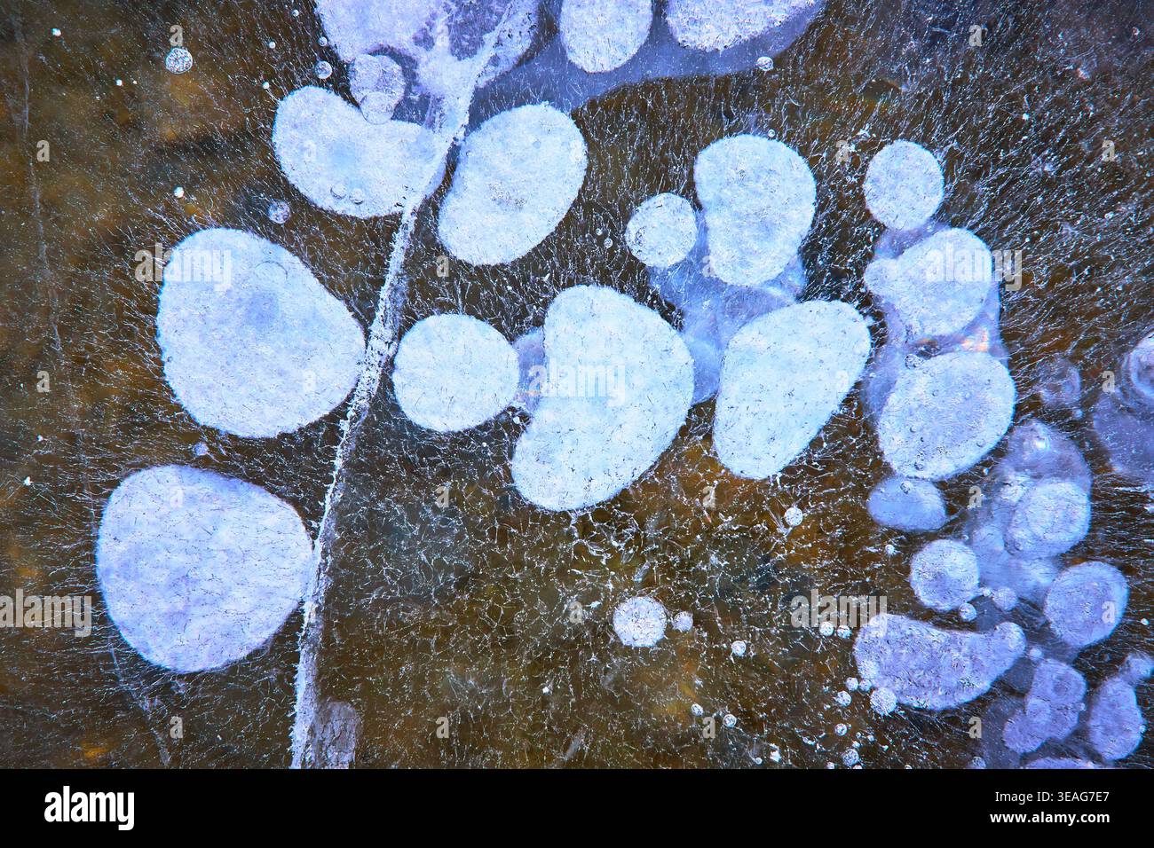 Frozen Methane Ice Bubbles Abstract Texture Winter Lake Surface Close Up Stock Photo