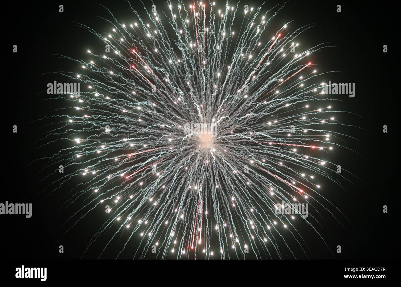 Fireworks explode in the night. Stock Photo