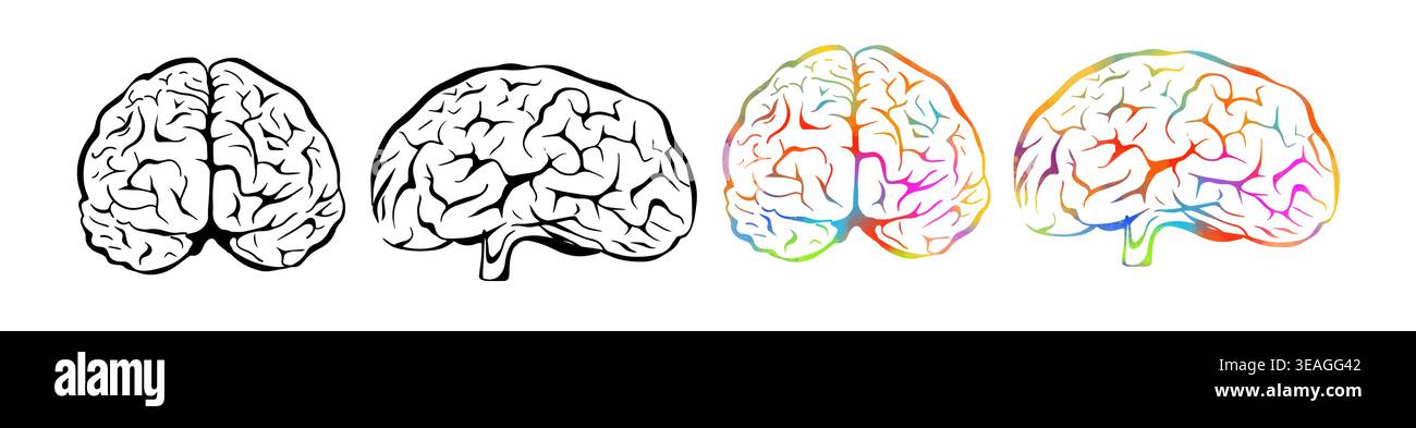Human brain graphic object . Hand drawn. Not AI, vector illustration. Stock Vector
