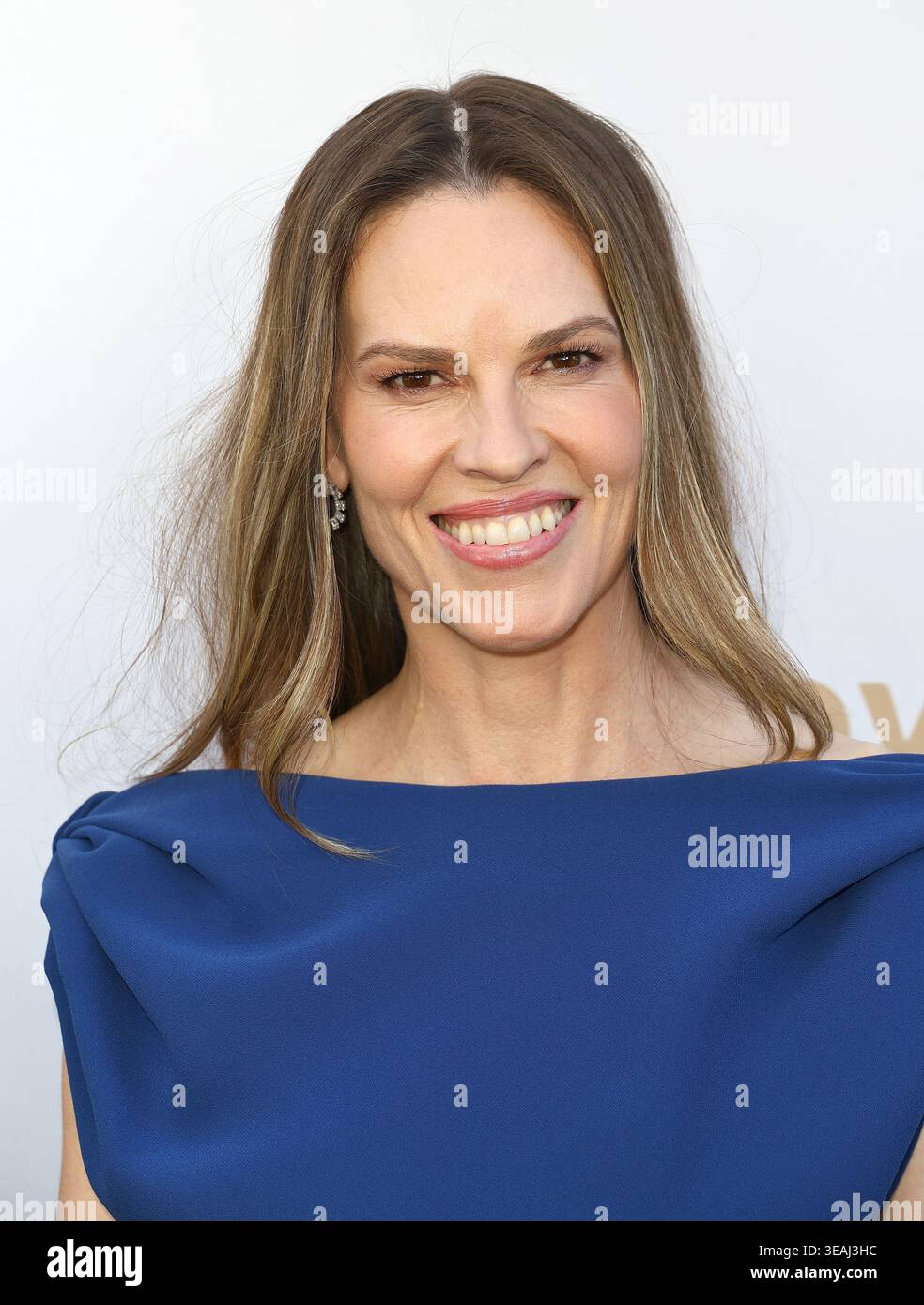 Hilary Rico Hilary Swank arrives at The Environmental Working Group Earth Dinner ...