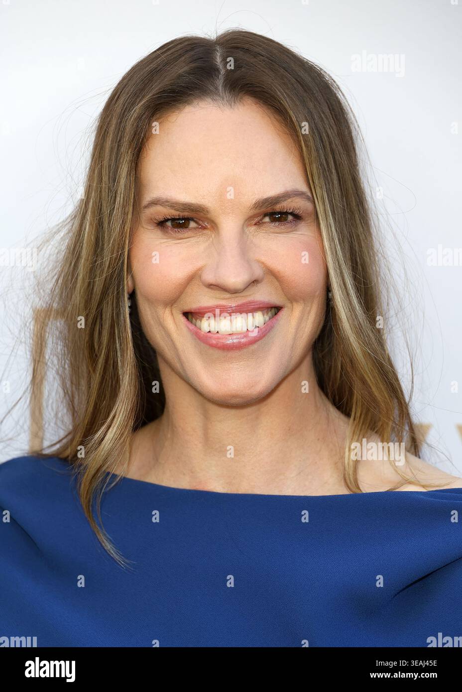 Hilary Rico Hilary Swank arrives at The Environmental Working Group Earth Dinner ...
