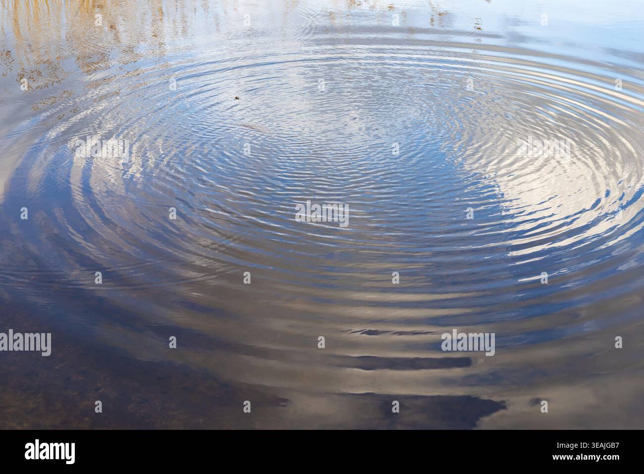 Water ripples on surface forming circular waves abstract background texture with reflection Stock Photo