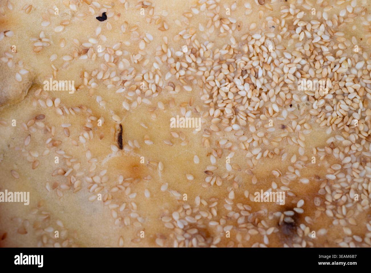 Macro detail sesame crust and toasted seeds, fine crumb structure with ...