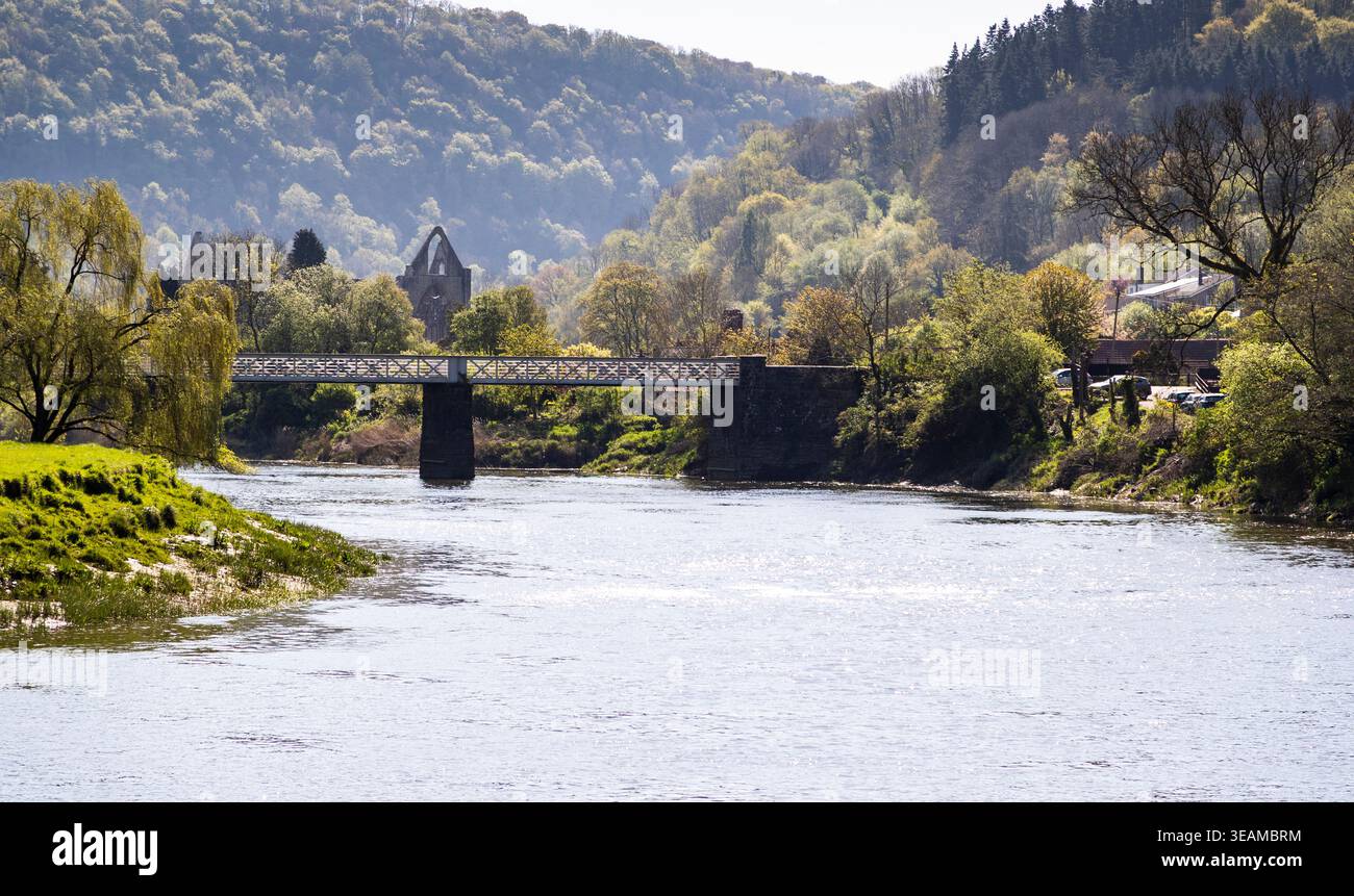 Tintern Abbey and the Wireworks Bridge, River Wye, Tintern, Wales. UK ...