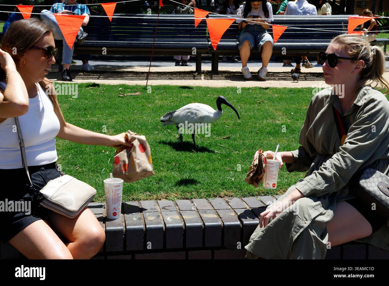 Australian Public Girls