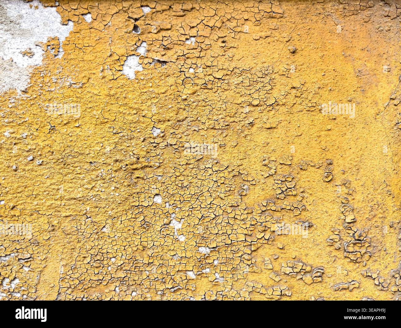 Sun altered painted wall shows cracked yellow surface, where exposure ...