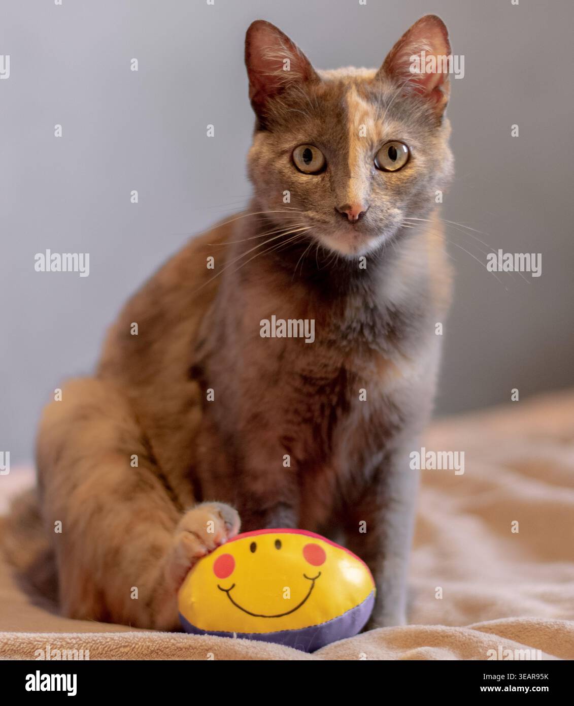 Con pelota hi-res stock photography and images - Alamy