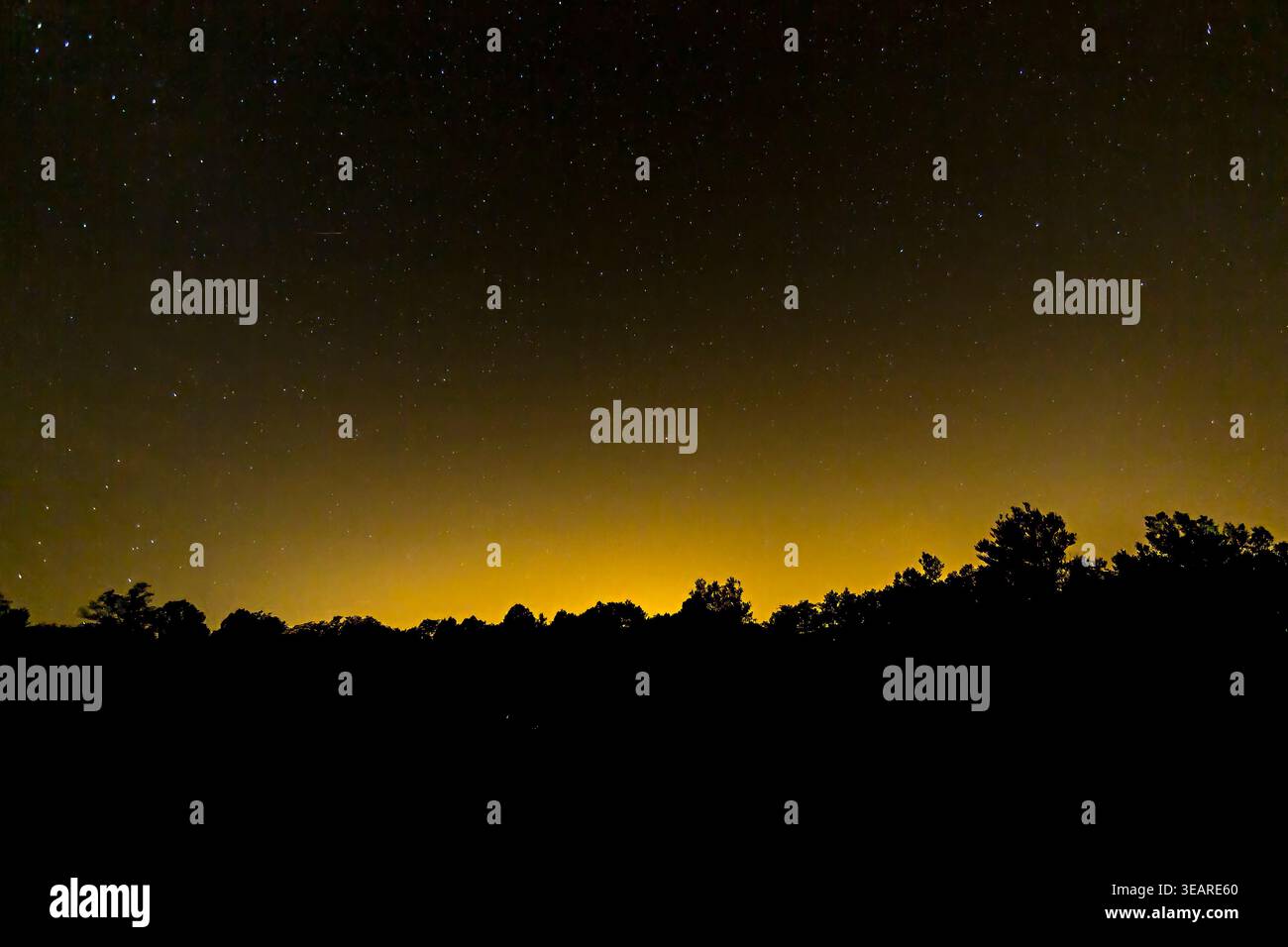 Stars and night sky, Slovenia Stock Photo