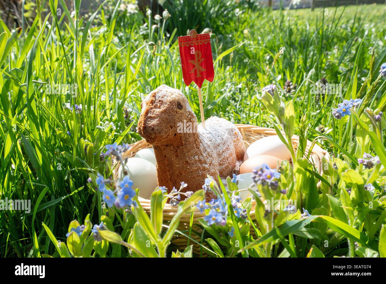 easter, easter nest, easters Stock Photo