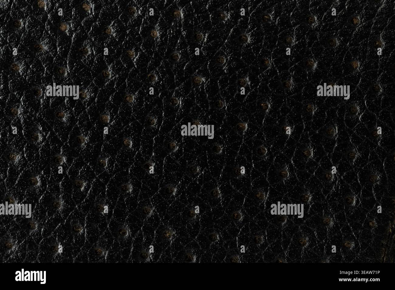 Black perforated leather surface material macro close up view Stock Photo