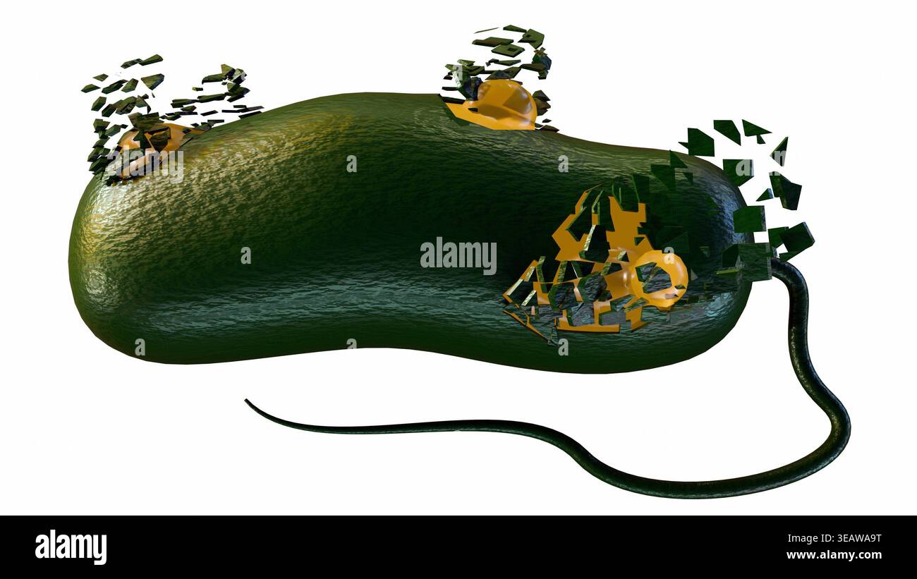 Cell membrane structure hi-res stock photography and images - Alamy