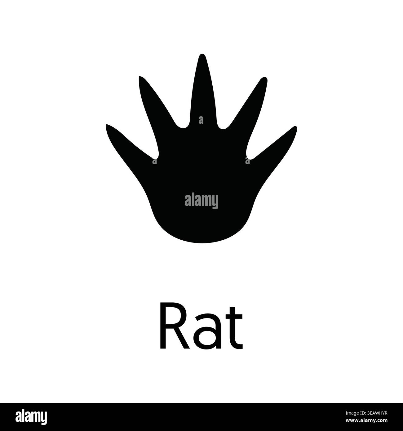 Rat Footprint Print Silhouette Vector Icon Black Isolated Wildlife ...