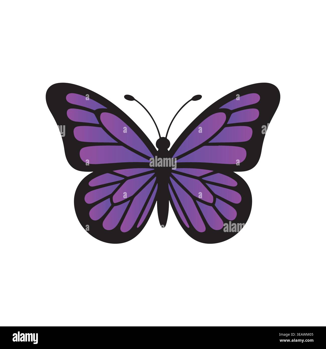 Colorful Butterfly Vector Gradient Editable Insect Elegant Modern Illustration Stock Vector
