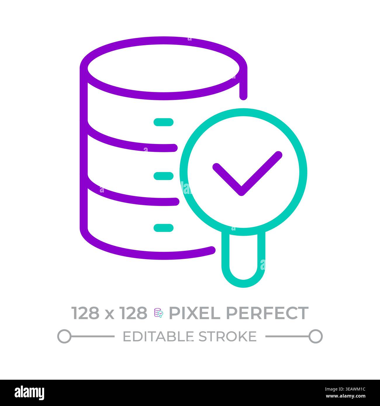 Database verification two color line icon Stock Vector