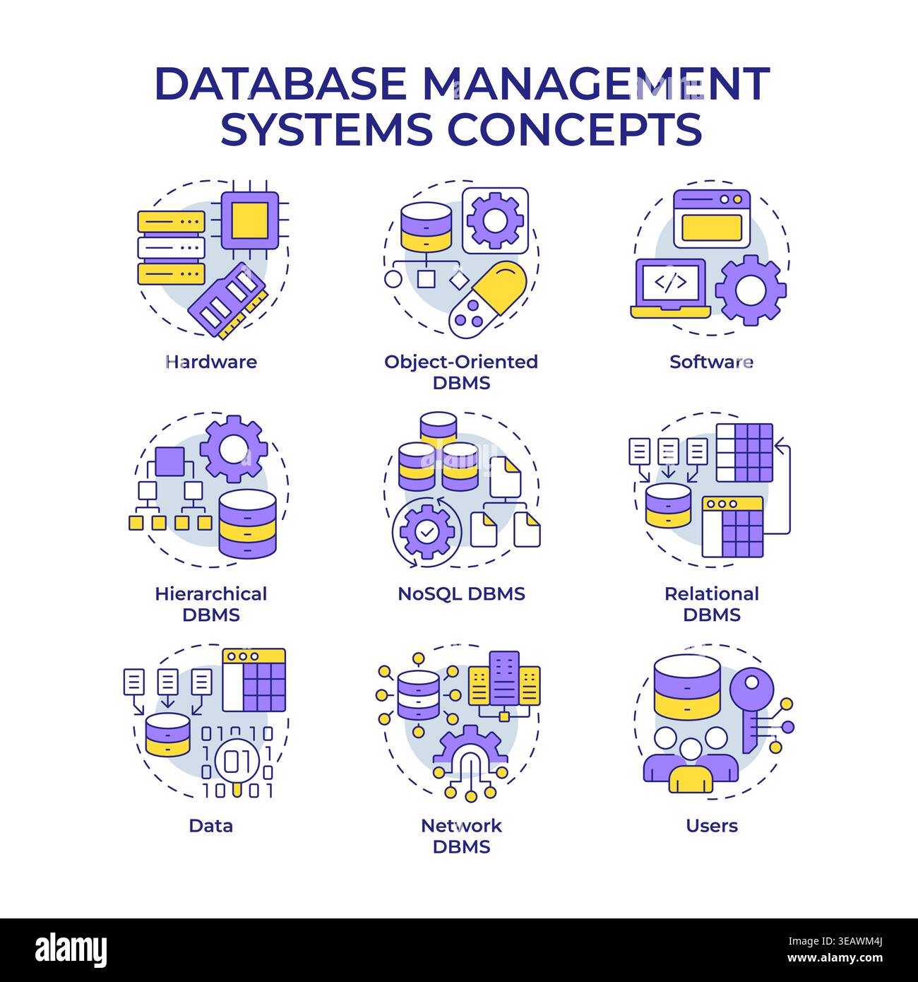 Database management systems multi color concept icons Stock Vector