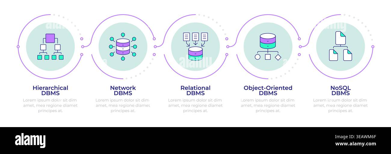 Database management types infographic 5 steps Stock Vector