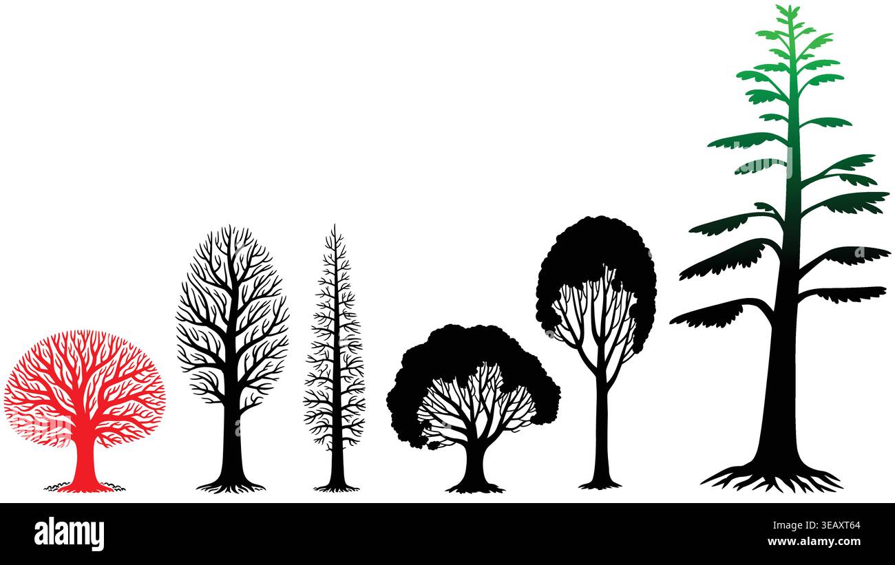 Tree Silhouettes Set Various Forest and Nature Trees Vector Collection Stock Vector