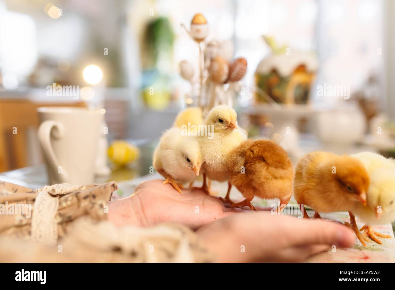 Easter table with traditional cake and cute chicks Stock Photo