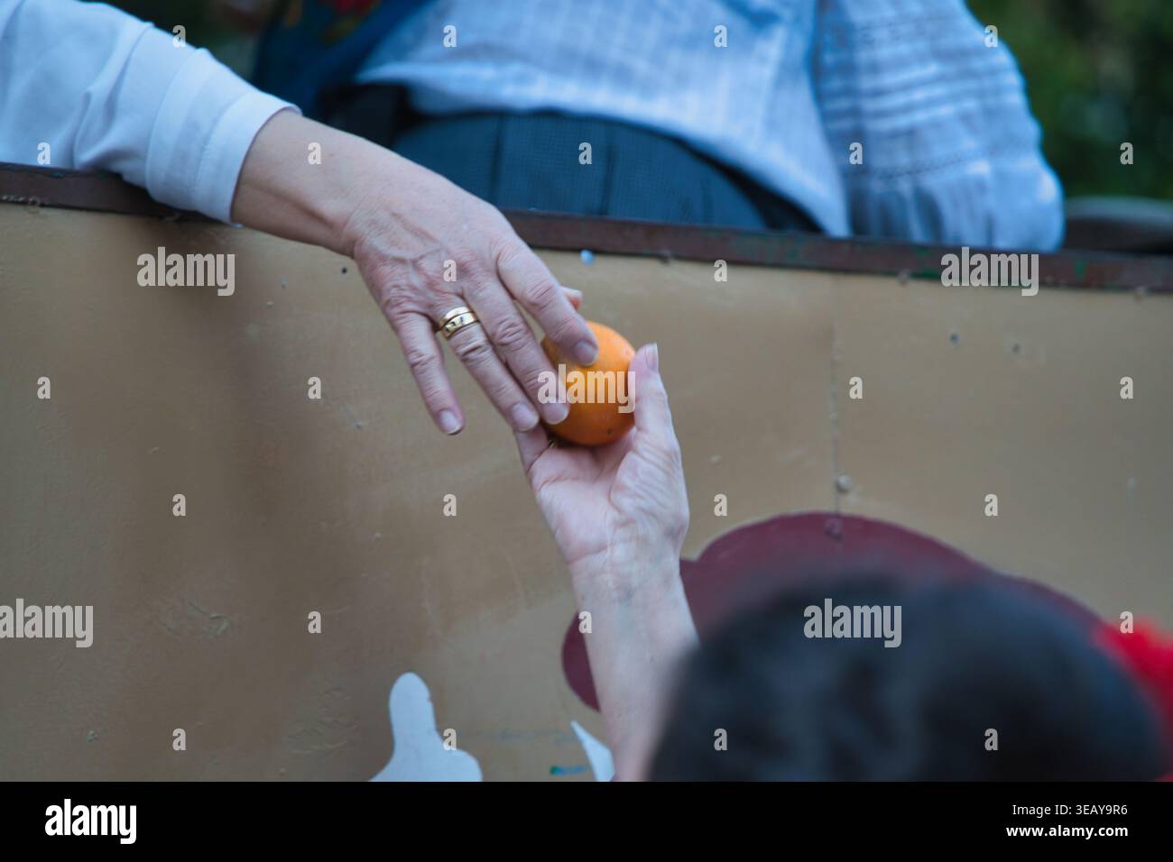 A woman's hand hands an orange to another. Stock Photo