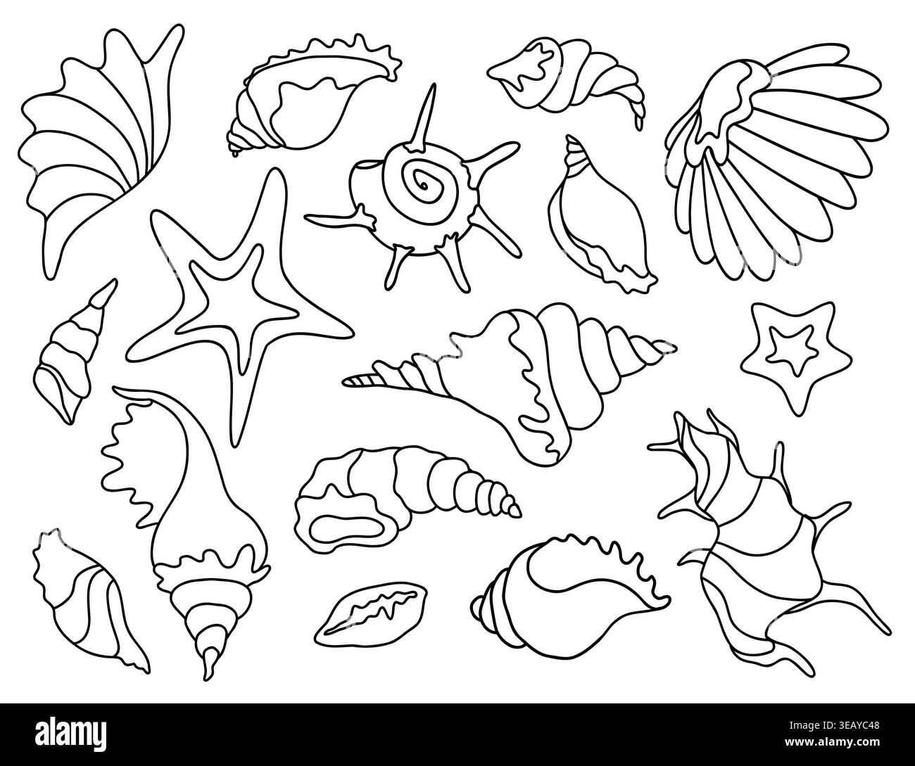 Sea Shells and Starfish Line Art Vector Set Stock Vector