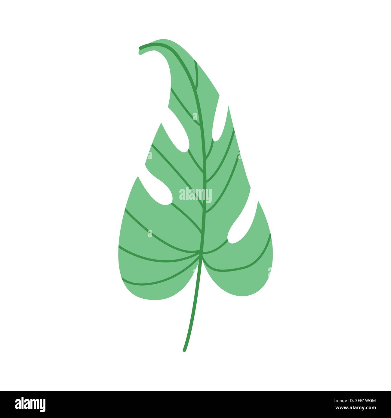 Monstera leaf vector flat botanical element isolated foliage summer design Stock Vector