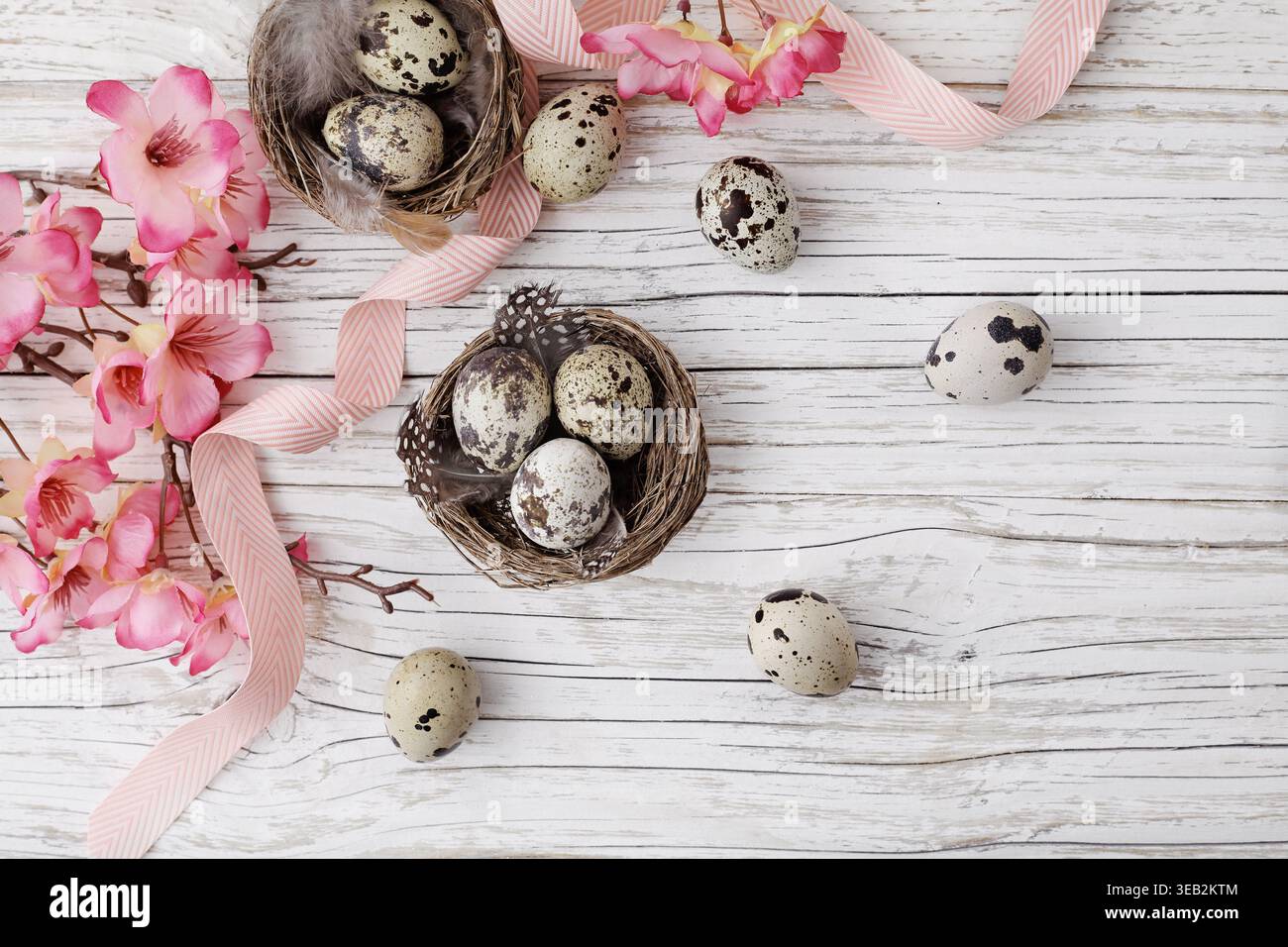 quail, easter decoration, quails, easter decorations Stock Photo