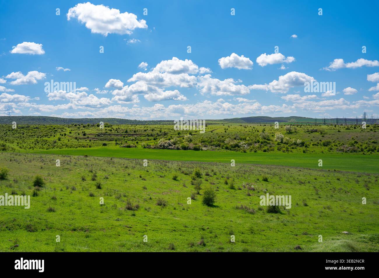 The scene shows a vast green field stretching under a bright blue sky ...
