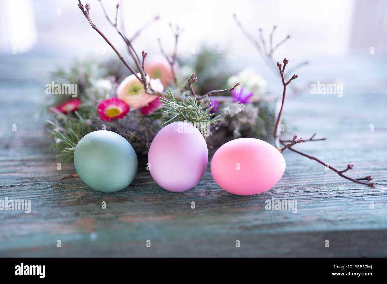 easter nest, easter eggs, easter time, easters, easter egg Stock Photo