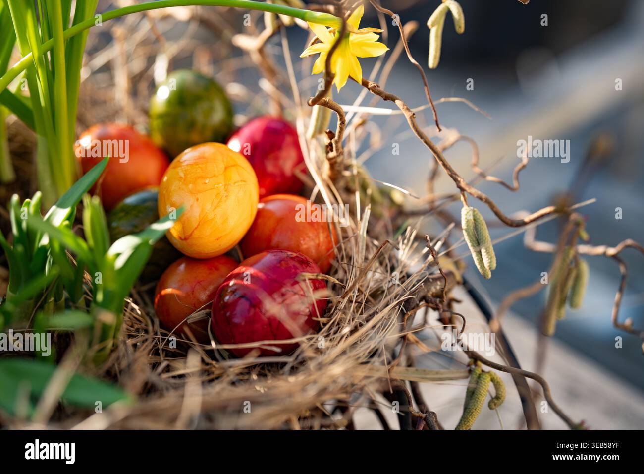easter nest, easter eggs, easters, easter egg Stock Photo