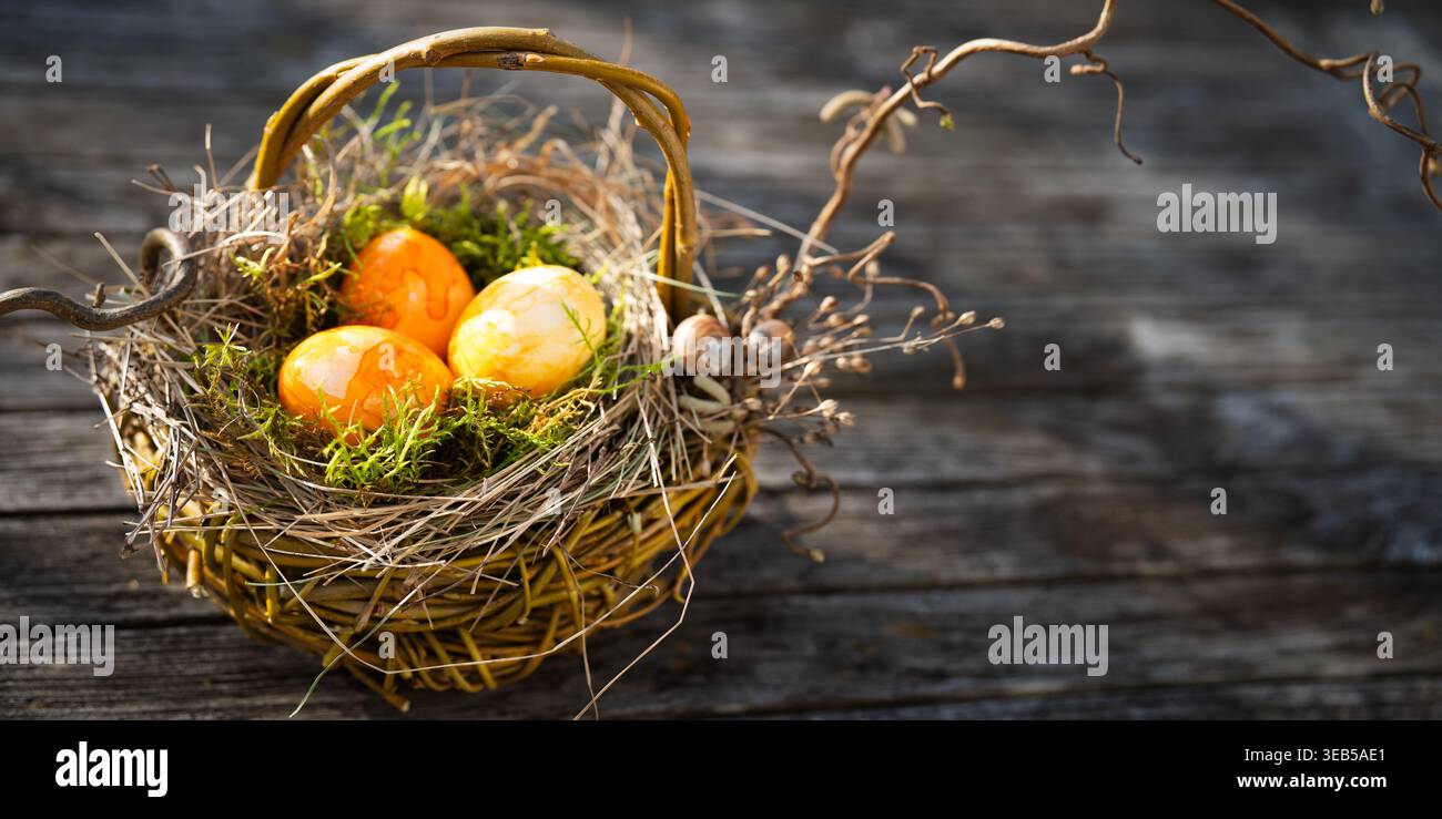 easter, easter egg, easter nest, easters, easter eggs Stock Photo