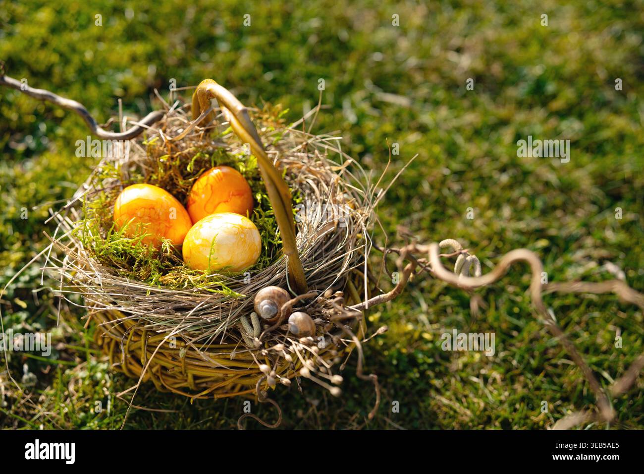 easter nest, easter eggs, easters, easter egg Stock Photo