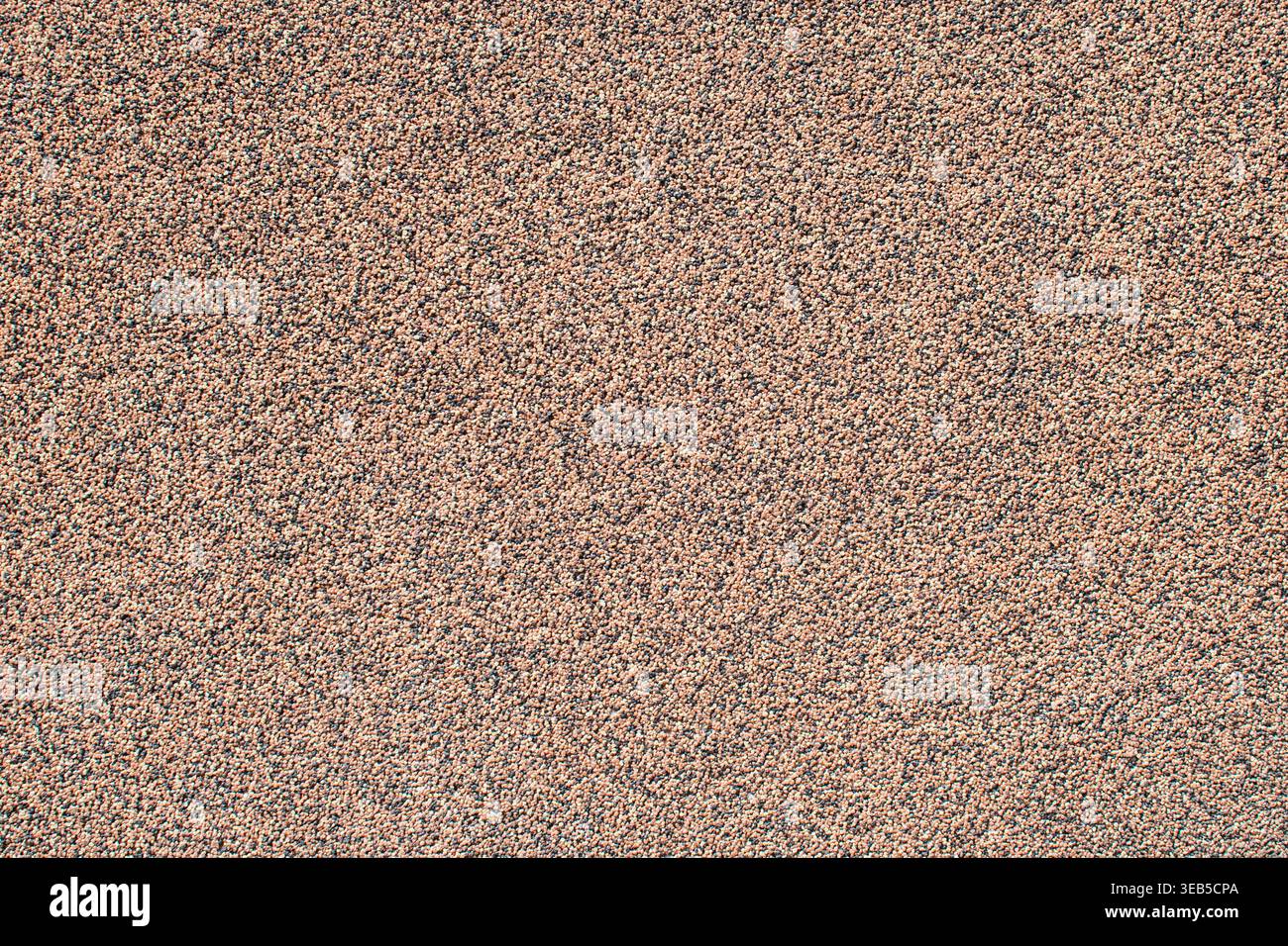 Light beige rough exterior plaster wall surface texture background closeup. Stock Photo