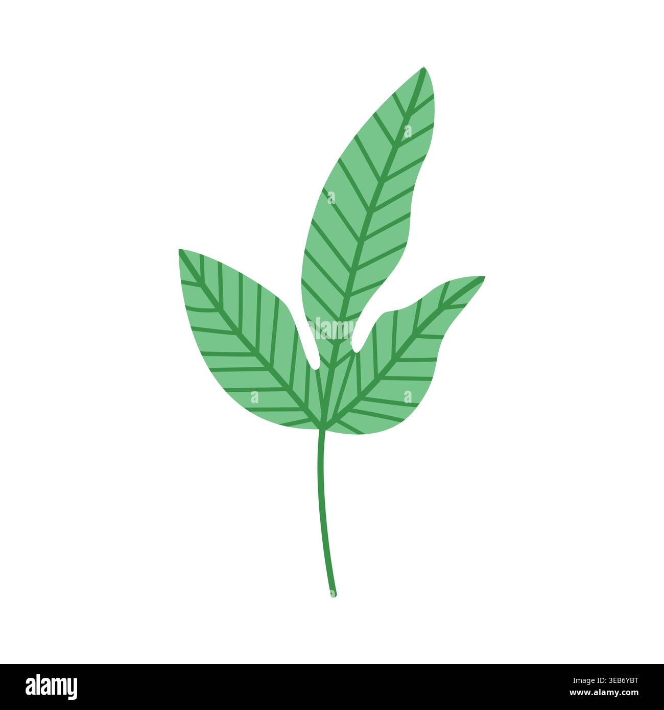 Tropical leaf vector flat botanical element isolated foliage summer design Stock Vector