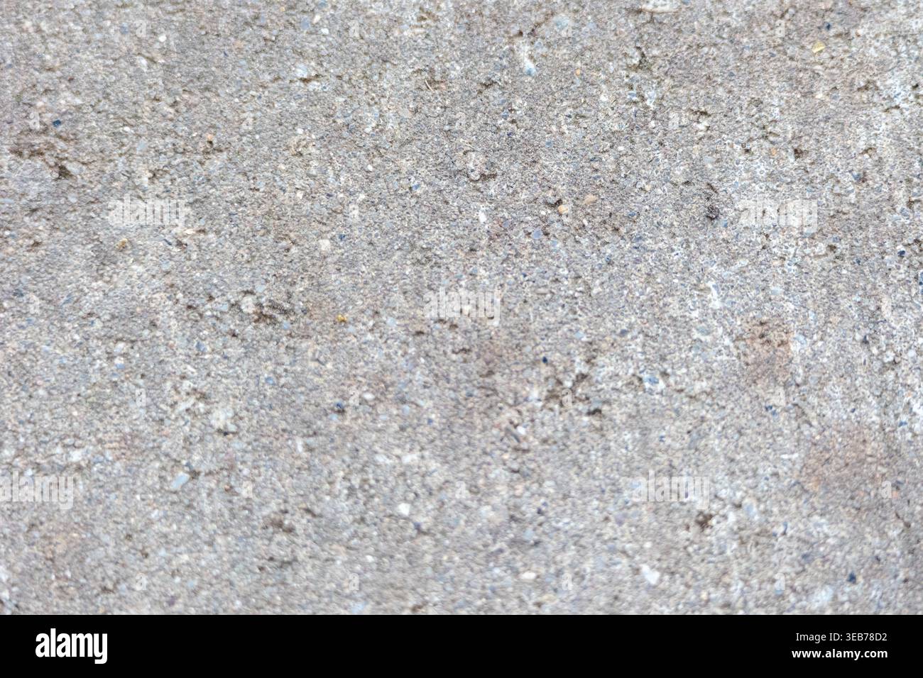 Gray concrete surface showing a rough and gritty texture with visible aggregate Stock Photo
