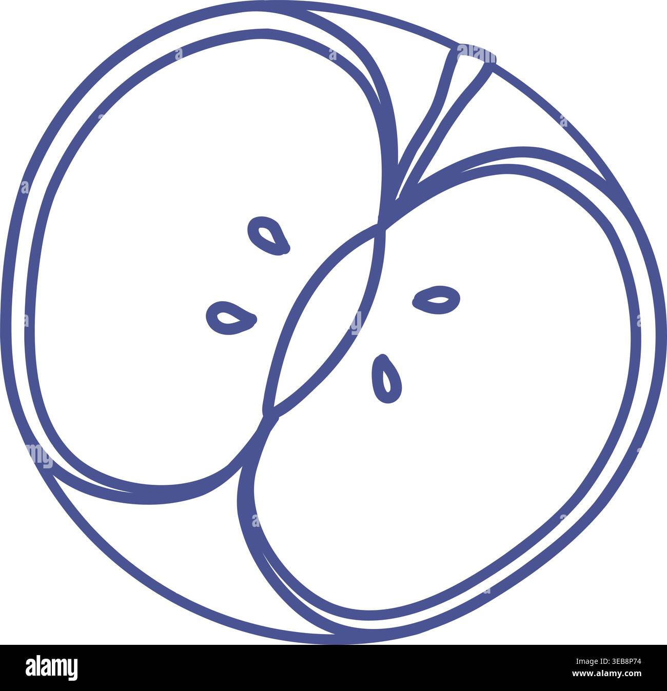 Apple fruit slice vector line art illustration. Stock Vector