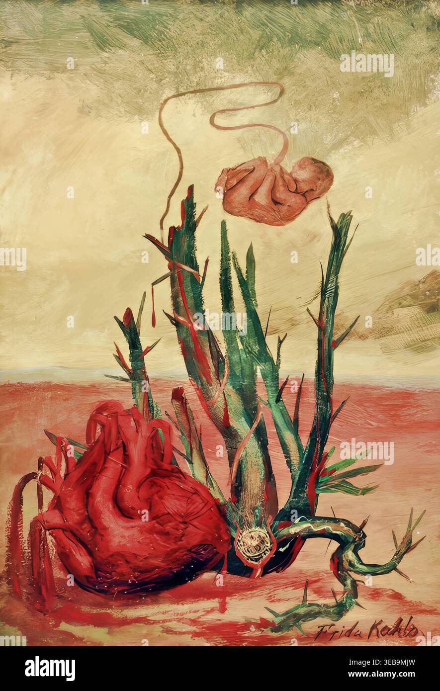 Cactus collections hi-res stock photography and images - Alamy