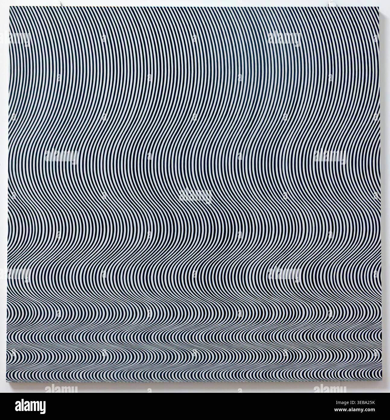 Bridget Riley Op Art Black And White [2026]