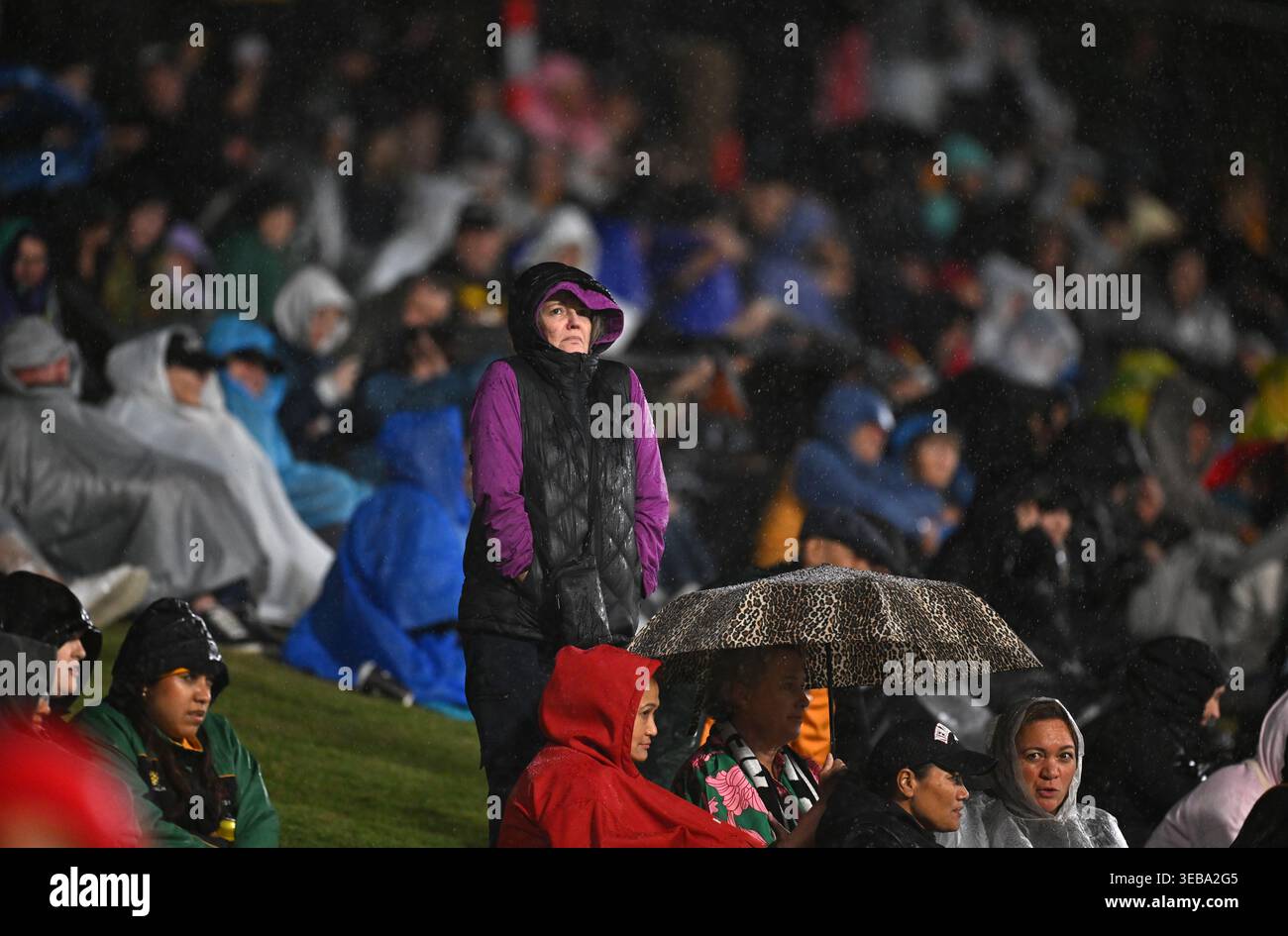 Spectator Watching Rugby Match Spectators during the Pacific Four Series Women’s Rugby match between ...