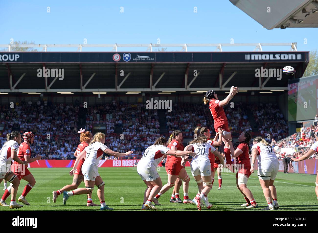 Woman's Rugby Red Roses Womens rugby red roses lineout hi-res stock photography and images - Alamy