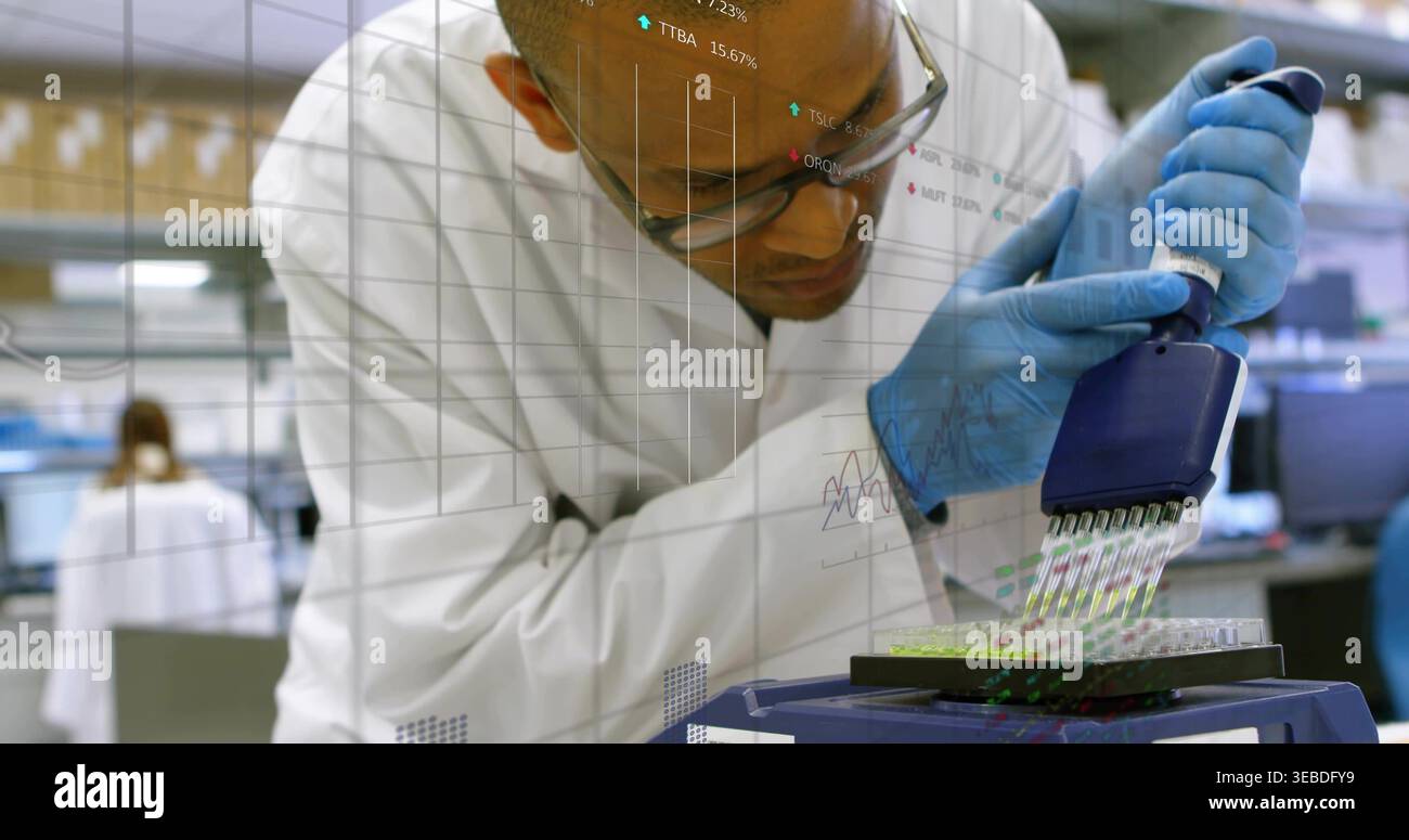 Pipetting lab tech in lab coat, glasses, blue gloves using multichannel pipette into microplate Stock Photo