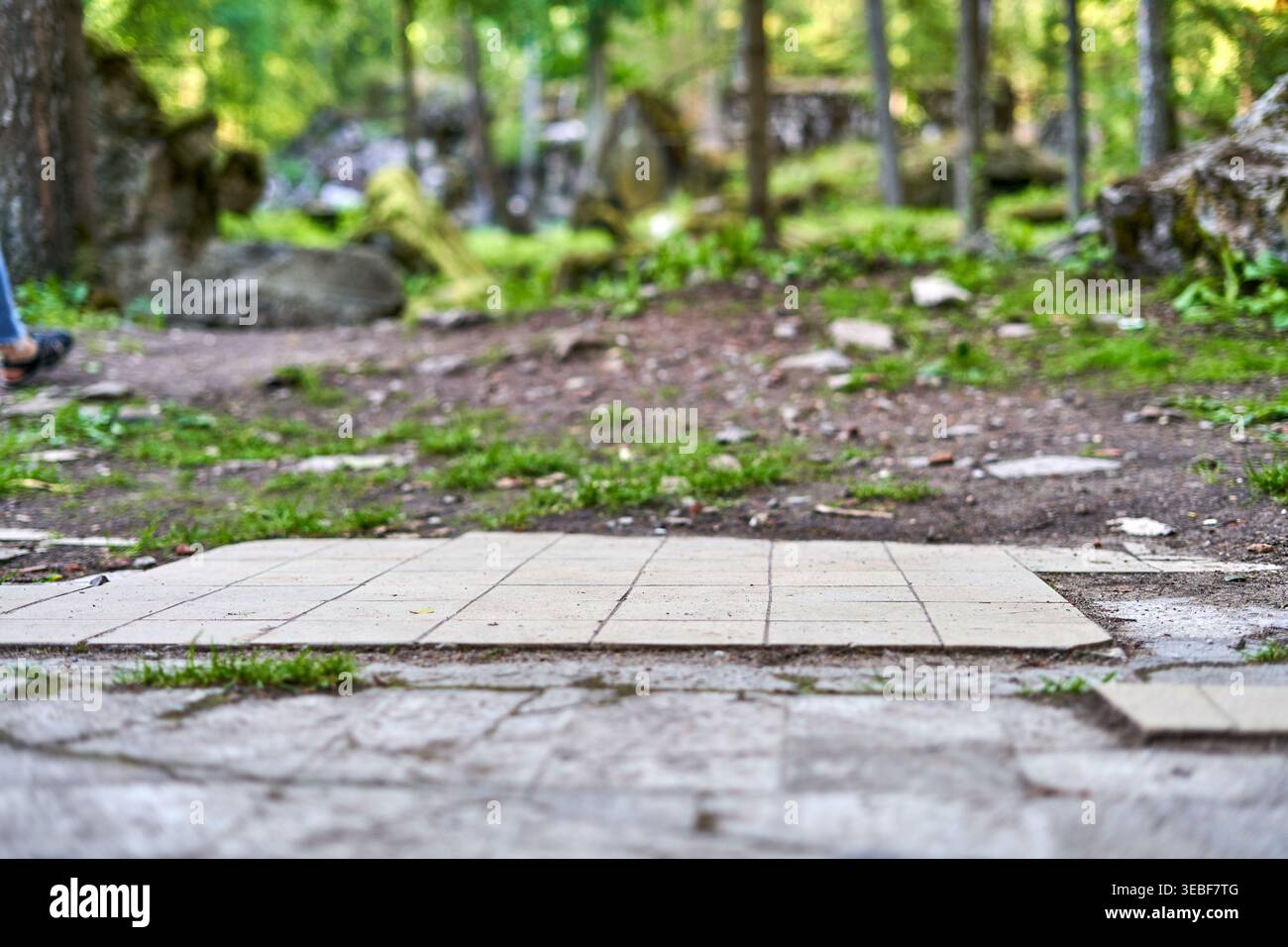 A low-angle close-up view of a paved stone pathway transitioning into a dirt forest trail. Light-colored square paving tiles arranged in a grid Stock Photo