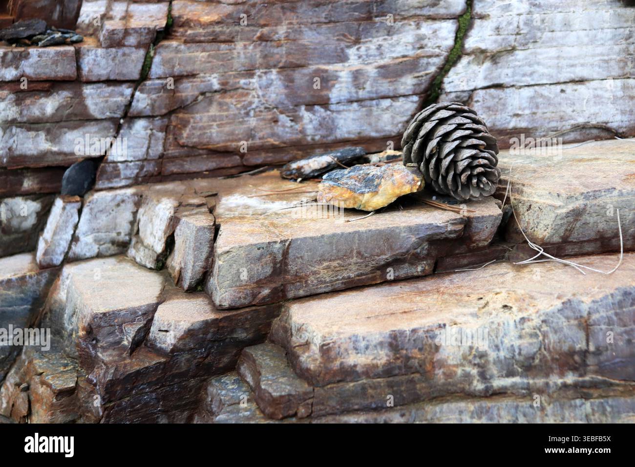 Layered rock with cone scene. Mountain pattern background. Stock Photo