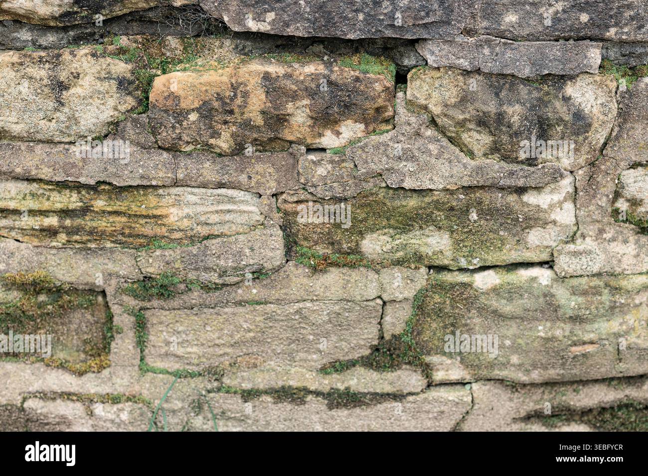 Old stone wall with mossy texture background. Stock Photo