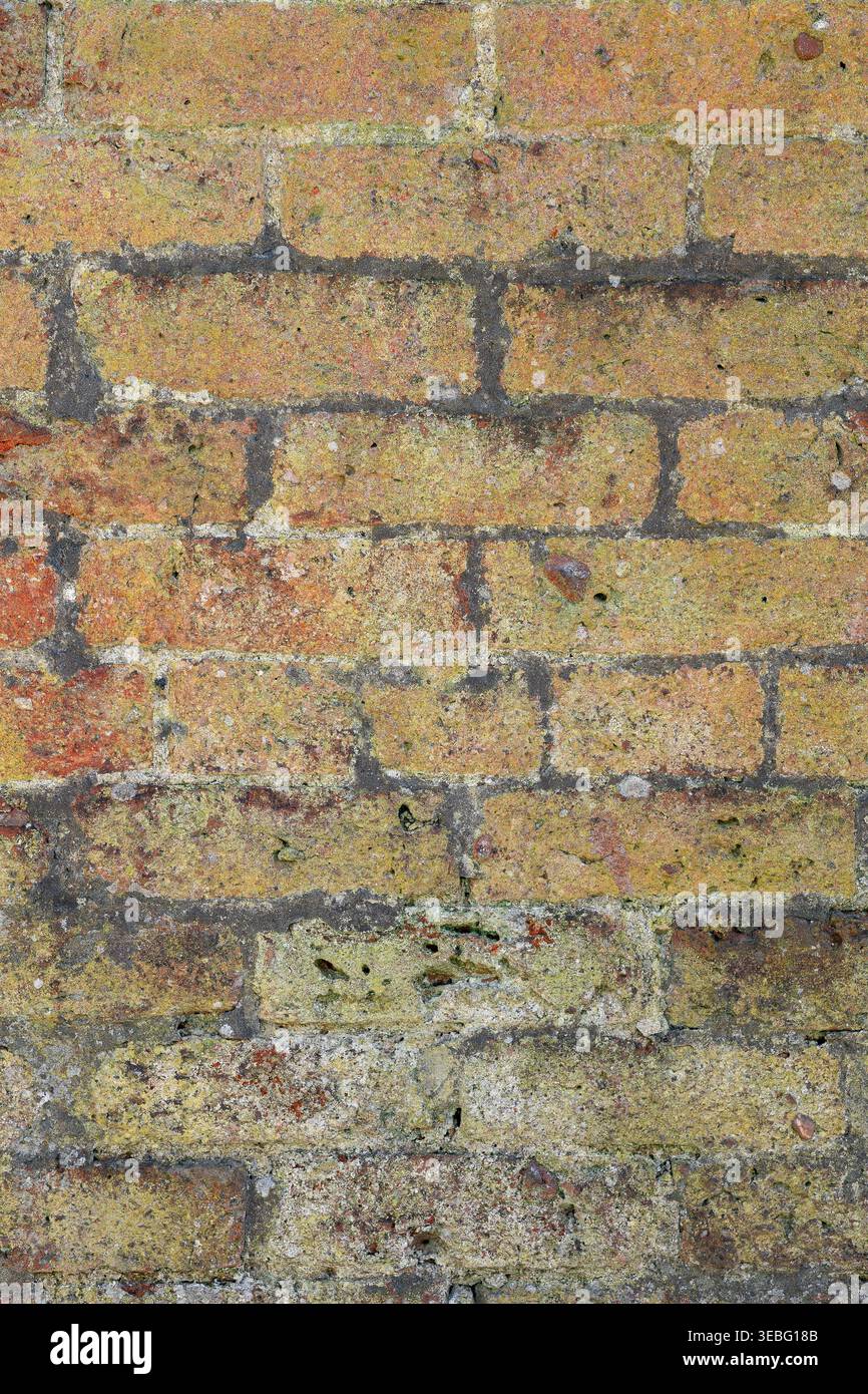 Vintage brick wall texture background. Stock Photo