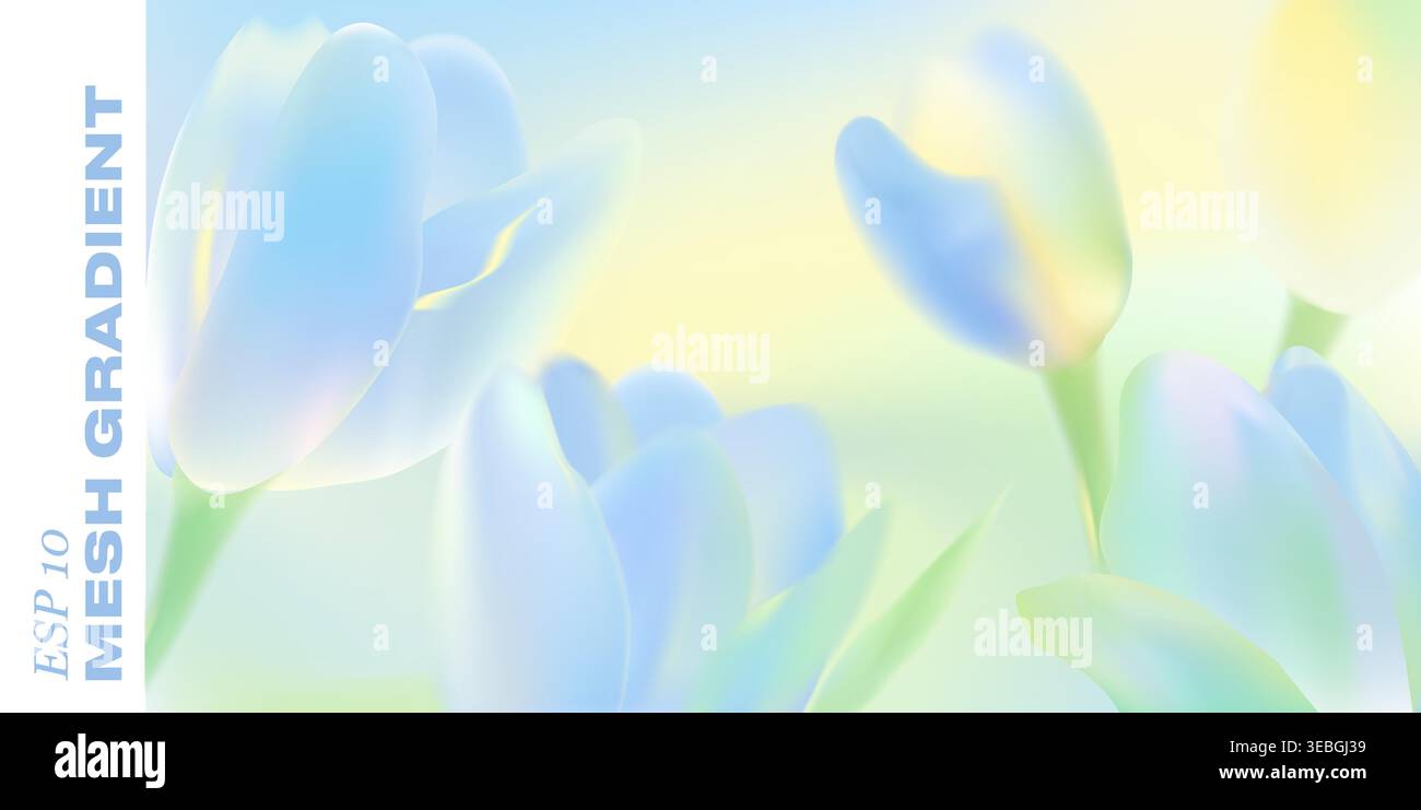 Gentle spring background features blooming tulip petals in pastel gradient. Fresh floral design with soft bokeh effect perfect for romantic Easter Stock Vector