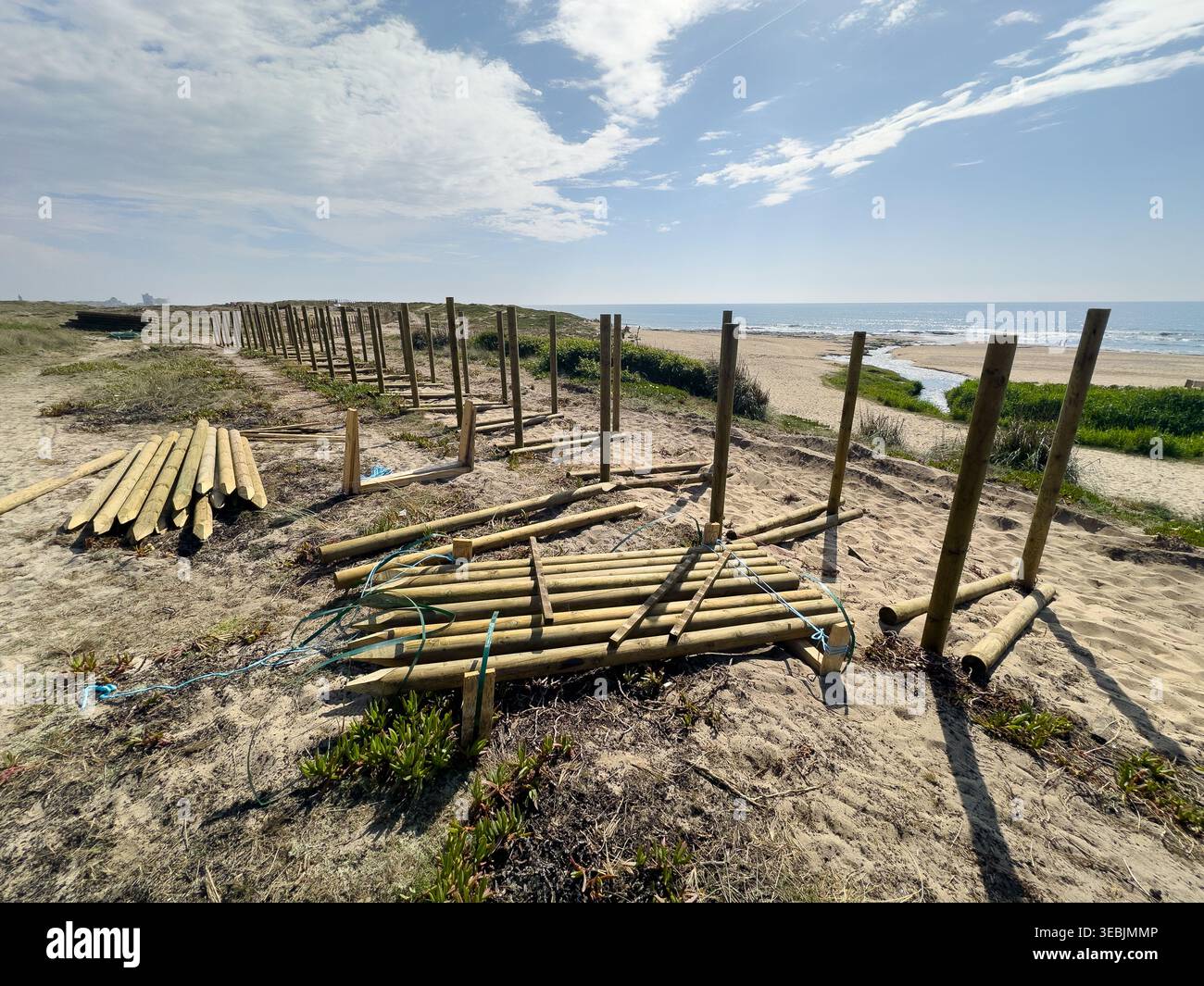 Vertical Post Inconstruction Process Construction site featuring vertical wooden posts and stacks of timber ...