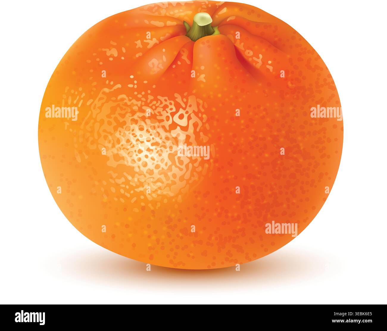 Realistic orange fruit composition Vibrant orange segment Stock Vector