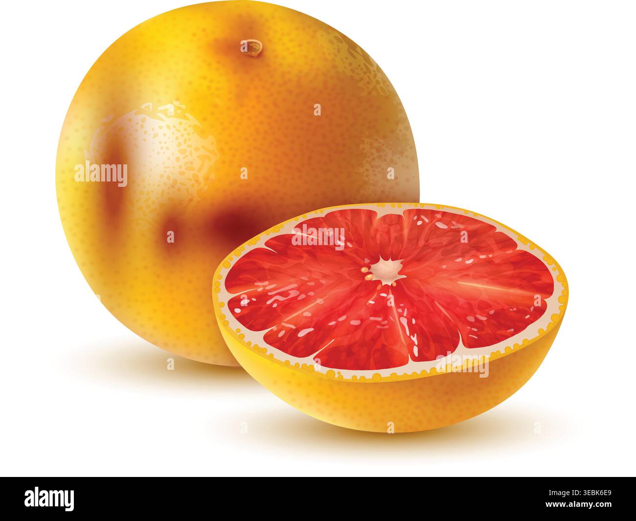 Realistic orange fruit composition Vibrant orange segment Stock Vector