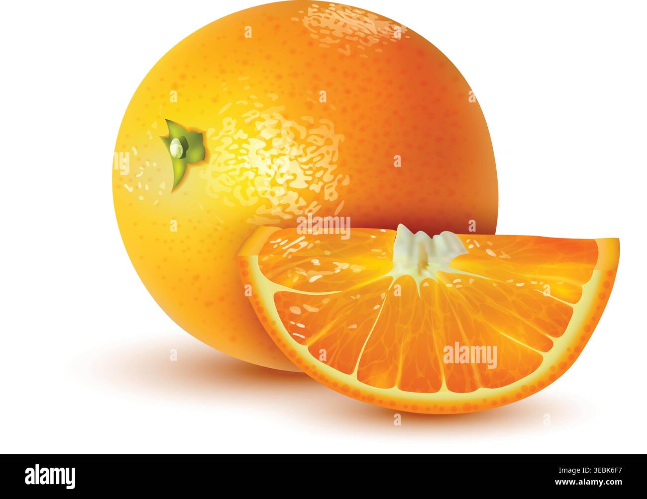 Realistic orange fruit composition Vibrant orange segment Stock Vector